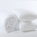 Flair Furnishings Hypoallergenic Single Duvet and Pillow Set
