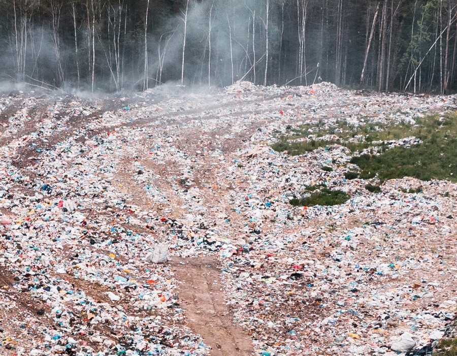 landfill and deforestation